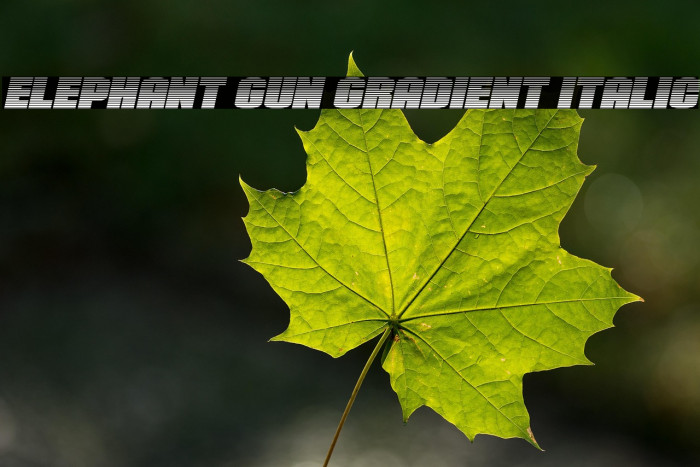 Elephant Gun Gradient Italic Example 2