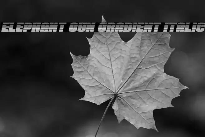 Elephant Gun Gradient Italic Font examples