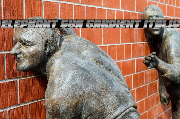 Elephant Gun Gradient Italic Example 3