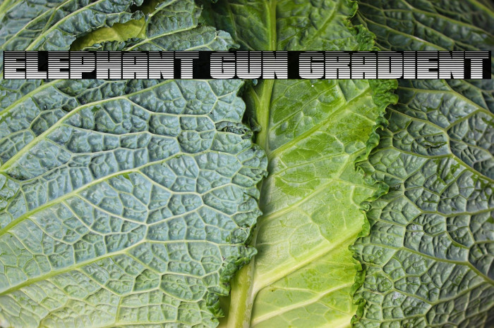 Elephant Gun Gradient Example 1