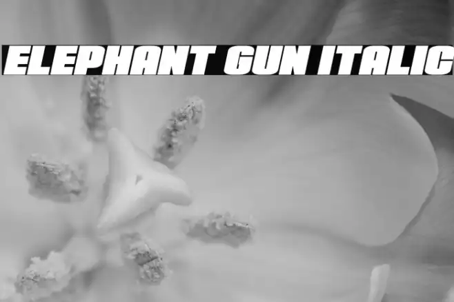 Elephant Gun Italic Example 2