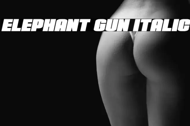 Elephant Gun Italic Example 3