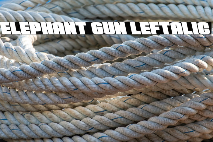 Elephant Gun Leftalic Example 1