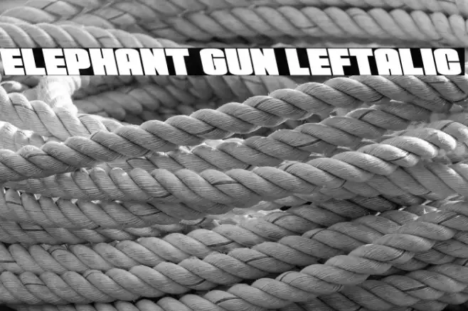Elephant Gun Leftalic Example 1
