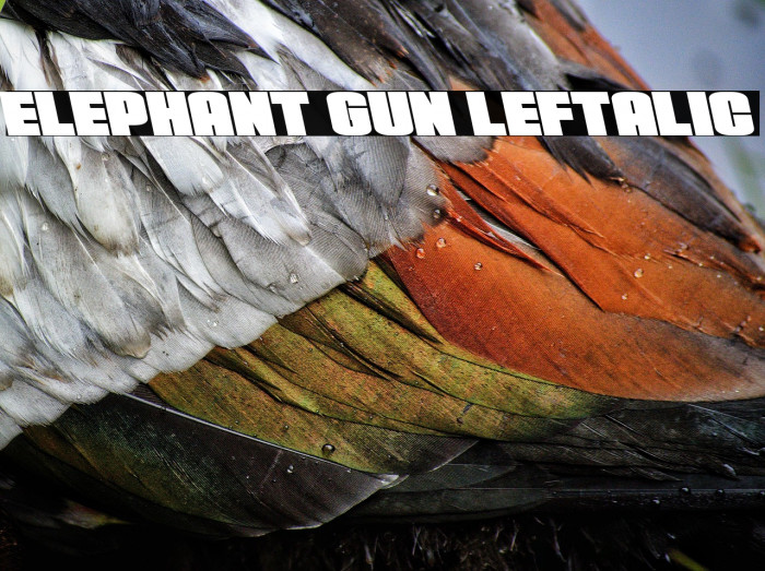 Elephant Gun Leftalic Example 2