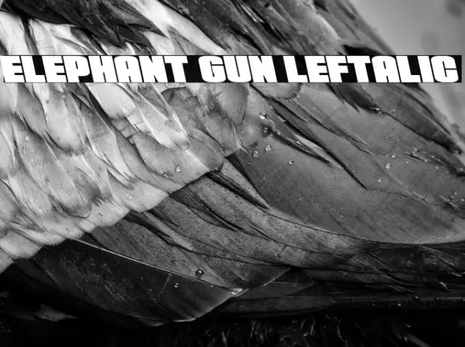 Elephant Gun Leftalic Example 2