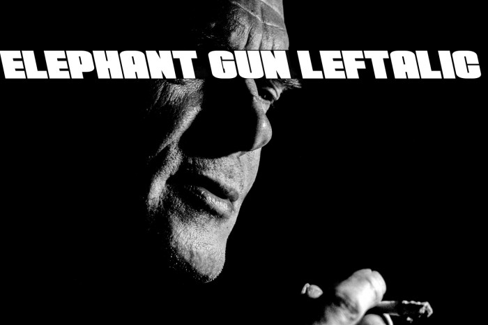 Elephant Gun Leftalic Example 3