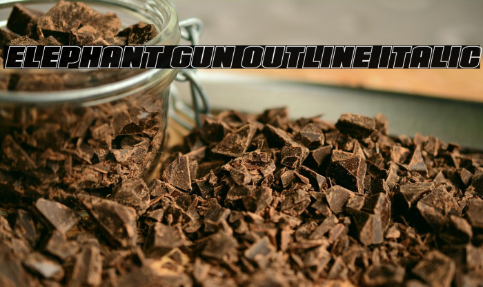 Elephant Gun Outline Italic Example 3
