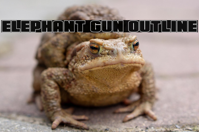 Elephant Gun Outline Example 1