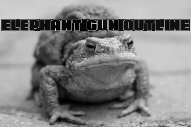 Elephant Gun Outline Example 1