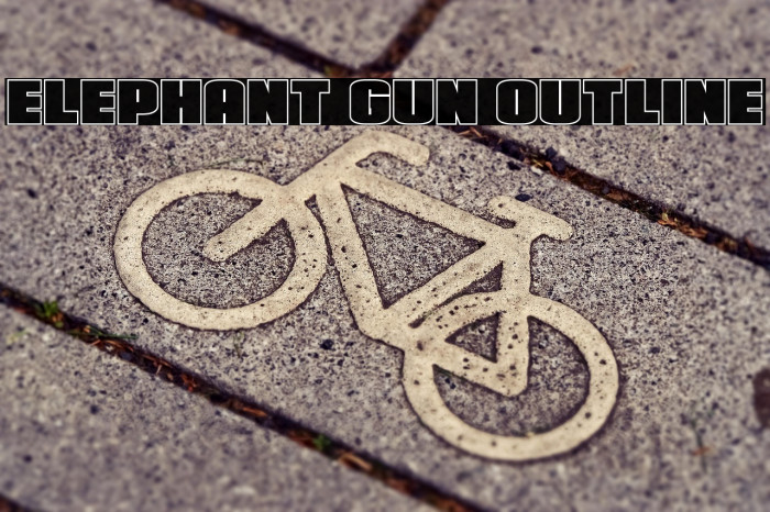 Elephant Gun Outline Example 3