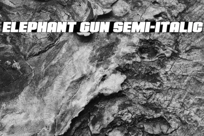 Elephant Gun Semi-Italic Example 1