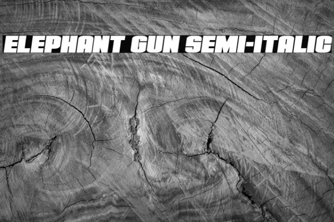 Elephant Gun Semi-Italic Example 2