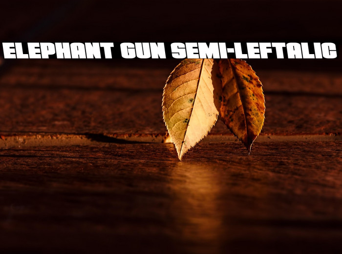 Elephant Gun Semi-Leftalic Example 1