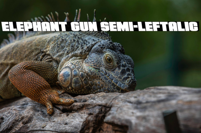 Elephant Gun Semi-Leftalic Example 3