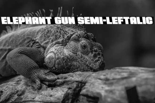 Elephant Gun Semi-Leftalic Example 3