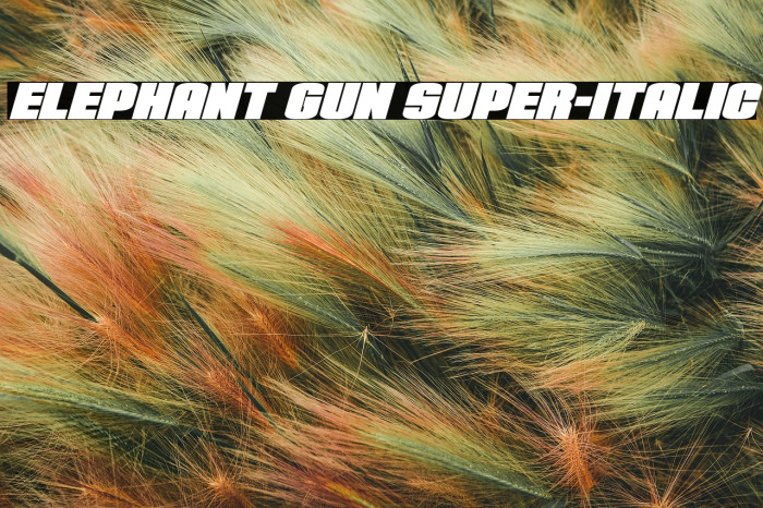 Elephant Gun Super-Italic Example 1