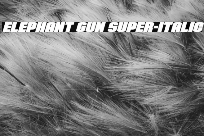 Elephant Gun Super-Italic Font examples