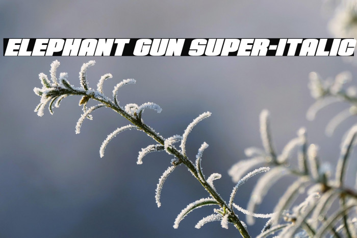 Elephant Gun Super-Italic Example 2