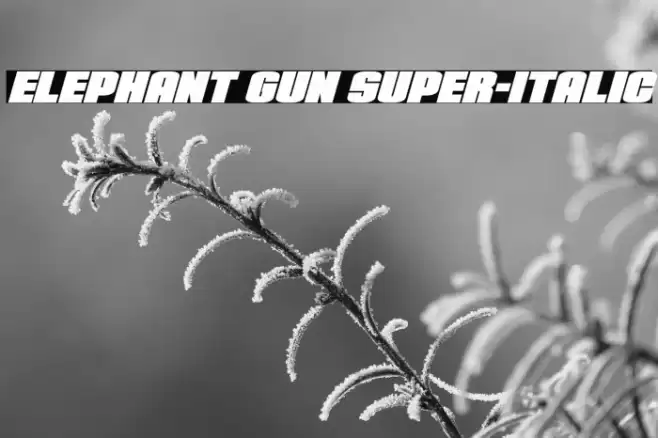 Elephant Gun Super-Italic Font examples
