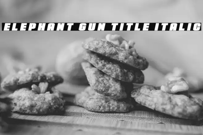 Elephant Gun Title Italic Example 1