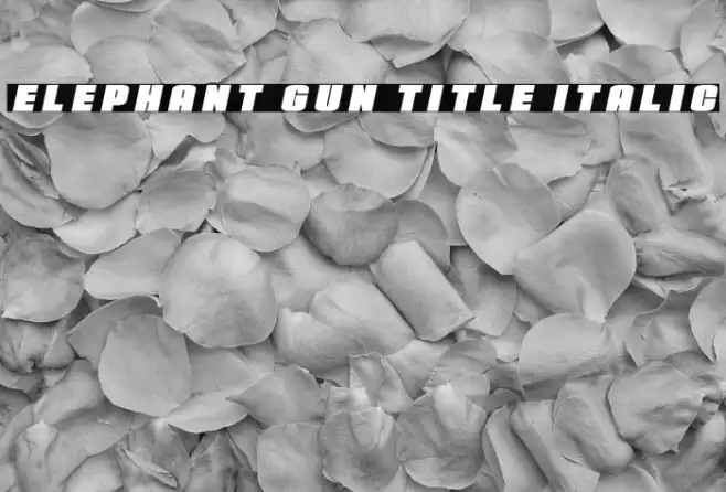 Elephant Gun Title Italic Example 3