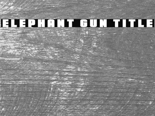 Elephant Gun Title Example 3