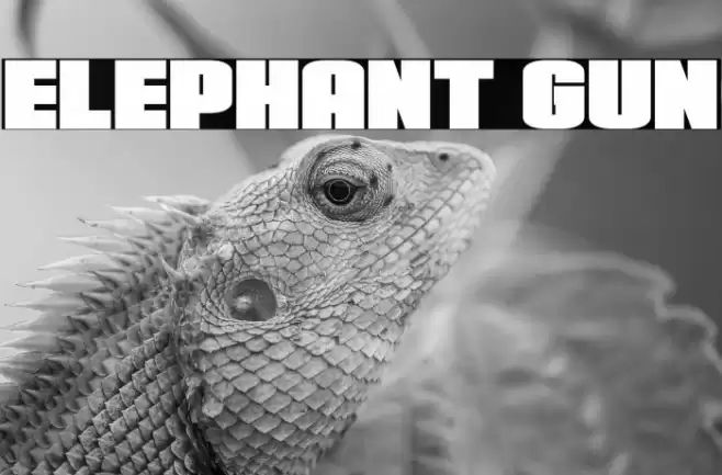 Elephant Gun Font examples