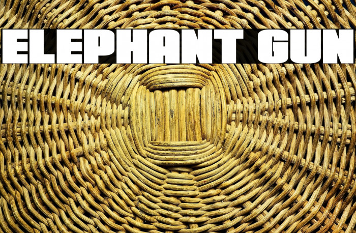 Elephant Gun Example 2