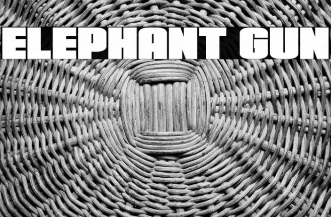 Elephant Gun Font examples