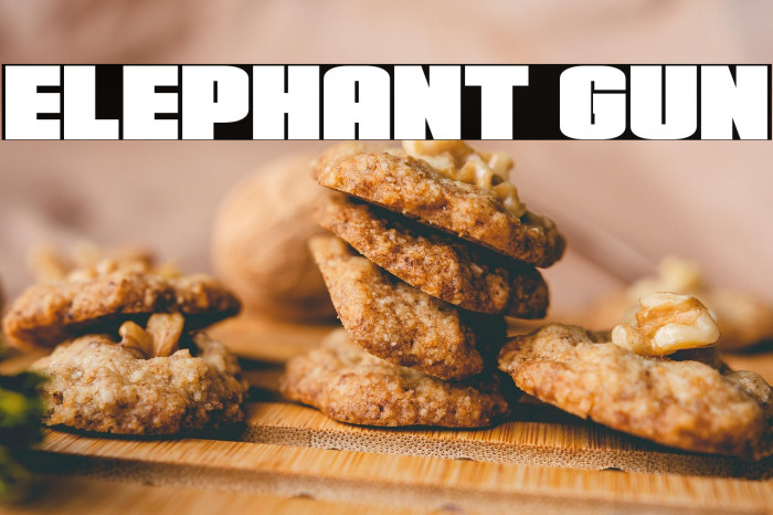 Elephant Gun Example 3