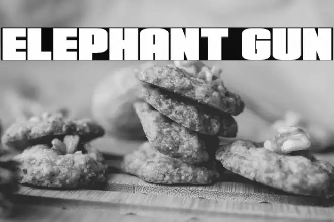 Elephant Gun Font examples