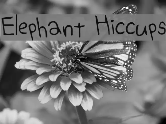 Elephant Hiccups Example 3