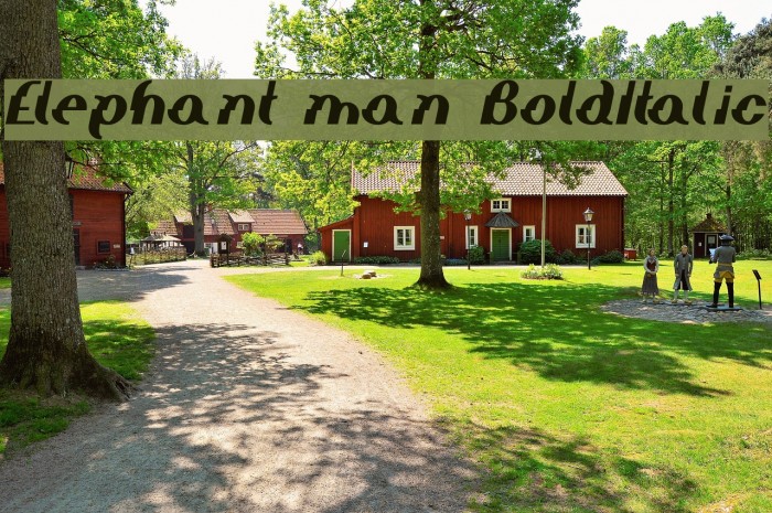 Elephant man BoldItalic Font examples