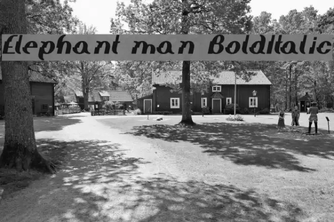 Elephant man BoldItalic خط examples
