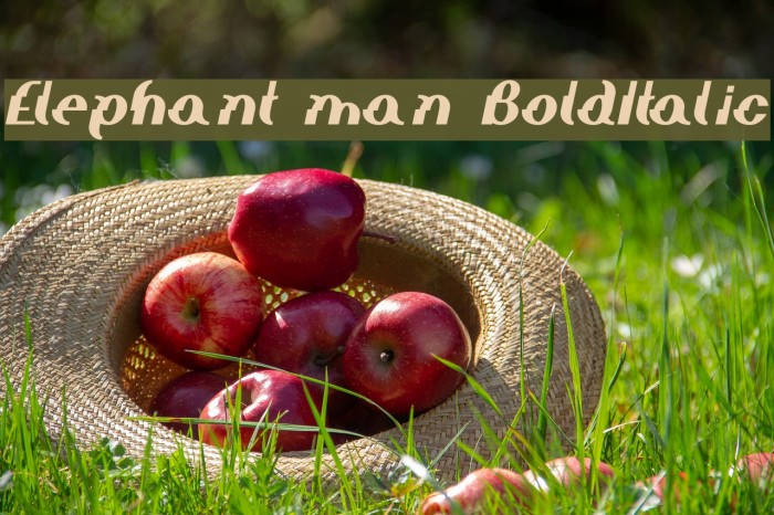 Elephant man BoldItalic Font examples