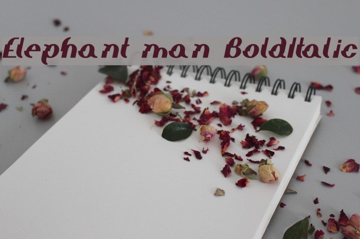 Elephant man BoldItalic Font examples