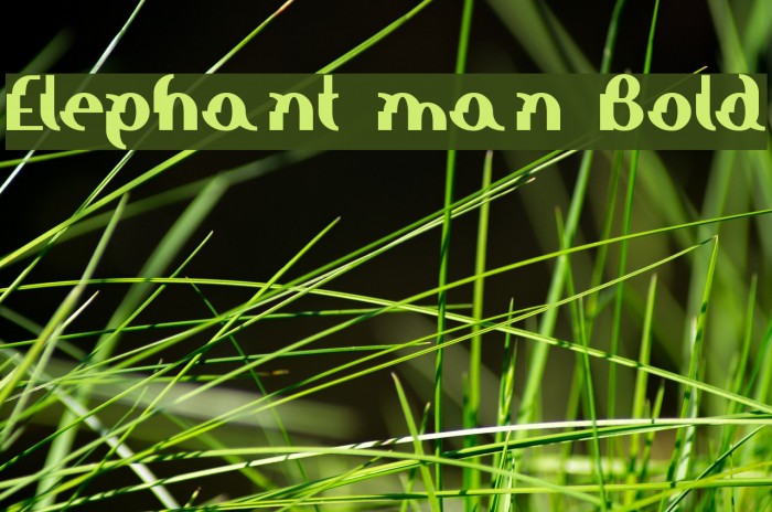 Elephant man Bold Шрифта examples