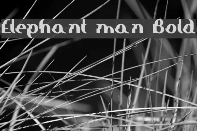 Elephant man Bold Шрифта examples