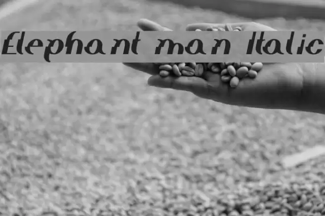 Elephant man Italic Font examples