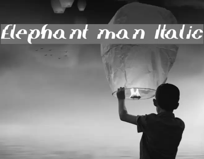 Elephant man Italic Font examples