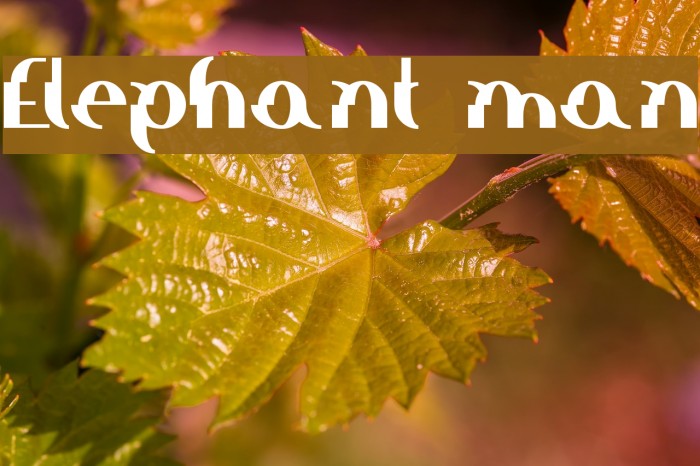 Elephant man Font examples