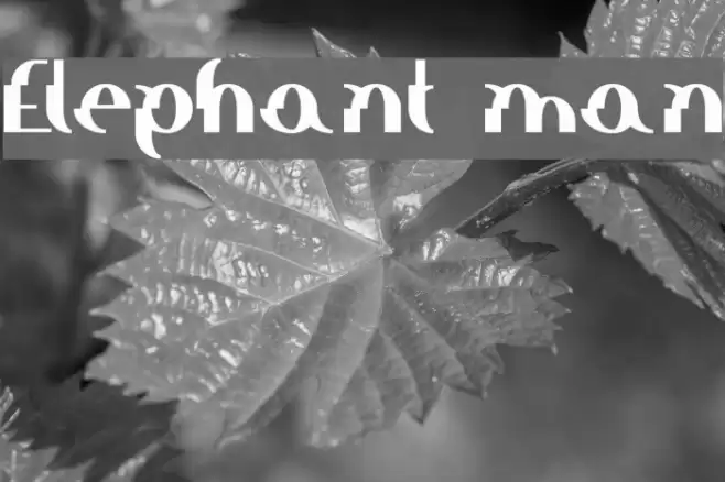 Elephant man フォント examples