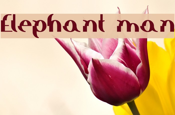 Elephant man Font examples