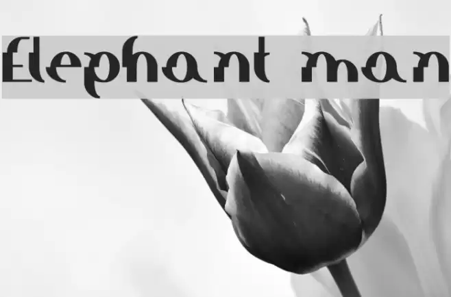 Elephant man フォント examples