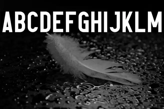 Elephant Font examples