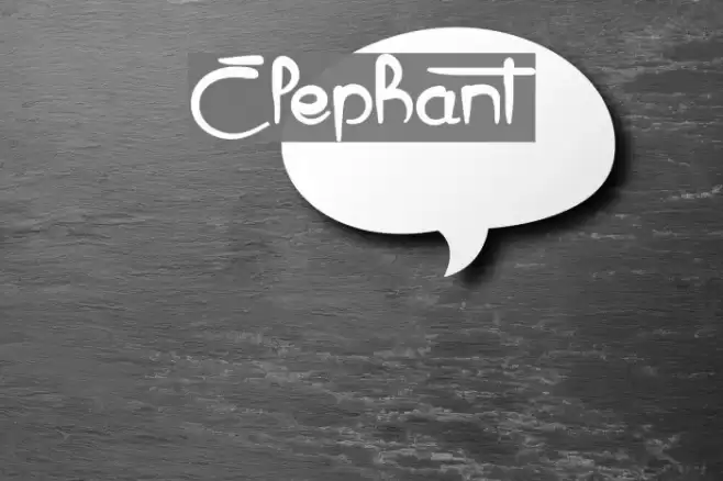 Elephant Fonte examples