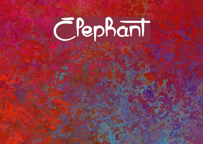 Elephant Fonte examples