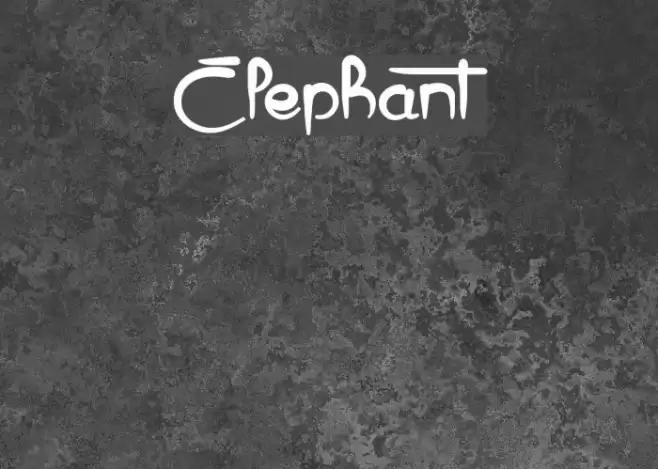 Elephant Fonte examples