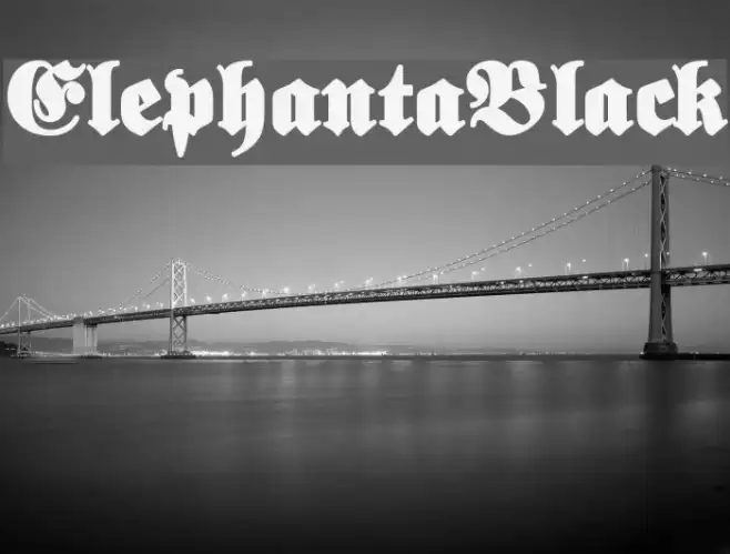 ElephantaBlack Example 2